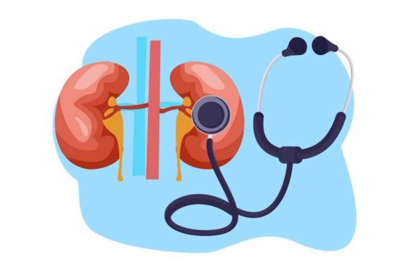 Download Kidney Medical Checkup with Stethoscope - Checkup Collection